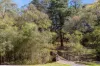9 Fig Tree Lane, Aberfoyle Park, SA 5159-Image