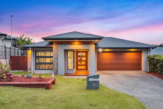 9 Flyers Street, Spring Mountain, Qld 4300