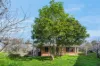 9 Glastonbury Close, Bannockburn, Vic 3331-Image