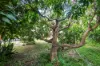 9 Goldsmith Street, Fannie Bay, NT 0820-Image