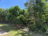 9 Goldsmith Street, Fannie Bay, NT 0820-Image