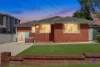 9 Goodwin Avenue, Mount Lewis, NSW 2190