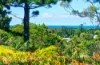 9 Goolara Court, Ocean Shores, NSW 2483-Image