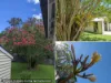 9 Gorban Street, Holland Park, Qld 4121-Image
