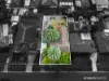 9 Gough Street, Emu Plains, NSW 2750-Image
