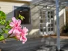 9 Graham Street, Electrona, Tas 7054-Image