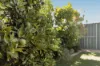 9 Graton Loop, Iluka, WA 6028-Image