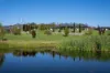 9 Green Grove, Blayney, NSW 2799