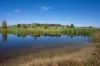 9 Green Grove, Blayney, NSW 2799-Image