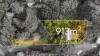 9 Gretty Lane, Lower Beechmont, Qld 4211-Image