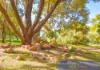 9 Greystones Road, Bridgetown, WA 6255-Image