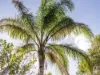 9 Gwenneth Close, Kanwal, NSW 2259-Image