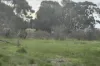 9 Haddleton Road, Woodanilling, WA 6316-Image