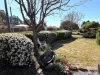 9 Hagan Ave, Coonabarabran, NSW 2357-Image