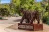 9 Hakea Road, Boddington, WA 6390-Image