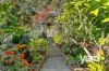 9 Hannibal Street, Palmyra, WA 6157-Image