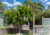 9 Hanny Crescent, Nairne, SA 5252-Image