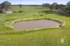 9 Harkin Court, Alma, Vic 3465-Image