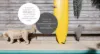9 Hervey Chase, Maroochydore QLD 4558-Image