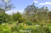 9 Highcliff Road, Upwey, Vic 3158-Image