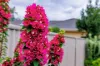 9 Hilton Street, Angle Park, SA 5010-Image