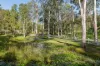 9 Hogan Court, Camp Mountain, Qld 4520-Image