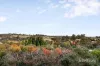 9 Hotham Court, Diamond Creek, Vic 3089-Image