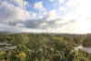 9 Jacaranda Court, Beechmont, Qld 4211-Image