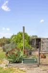 9 Kevin Street, Cohuna, Vic 3568-Image