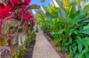 9 Langley Road, Port Douglas, Qld 4877-Image