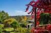 9 Last Street, Beechworth, Vic 3747-Image