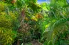 9 Lena Close, Clifton Beach QLD 4879-Image