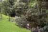 9 Lilly Pilly Lane, Dulong, Qld 4560-Image