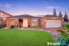 9 Litchfield Way, Lynbrook, Vic 3975-Image