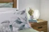 9 Little Court, Morayfield, Qld 4506-Image