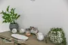 9 Little Court, Morayfield, Qld 4506-Image