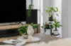 9 Little Court, Morayfield, Qld 4506-Image