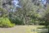 9 Ludlow-Hithergreen Road, Ludlow, WA 6280-Image