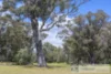 9 Ludlow-Hithergreen Road, Ludlow, WA 6280-Image