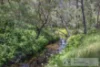 9 Ludlow-Hithergreen Road, Ludlow, WA 6280-Image