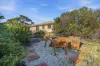 9 Marril St, Lindisfarne, Tas 7015-Image
