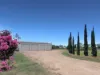 9 Marsden Court, Chinchilla, Qld 4413-Image
