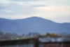 9 Mary Street, Scottsdale, Tas 7260-Image