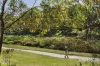 9 Meadow Crescent, Mount Waverley, Vic 3149-Image
