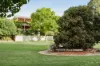 9 Meldrum Close, Doncaster East, Vic 3109-Image