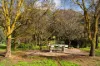 9 Mitchell Parade, Castlemaine, Vic 3450-Image