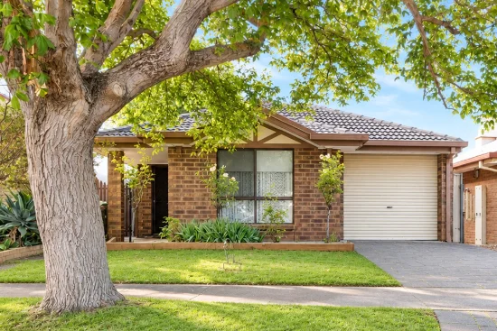 9  Montague Drive, Sheidow Park, SA 5158