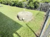 9 Mount Nutt Road, Bowen, Qld 4805-Image