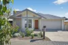9 Musk Duck Avenue, Chiton, SA 5211