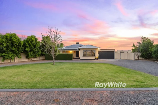 9 Nerrum Avenue, Red Cliffs, Vic 3496
